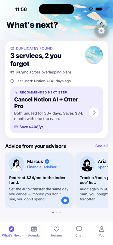 Money agent screen, subscription auditor finding duplicates